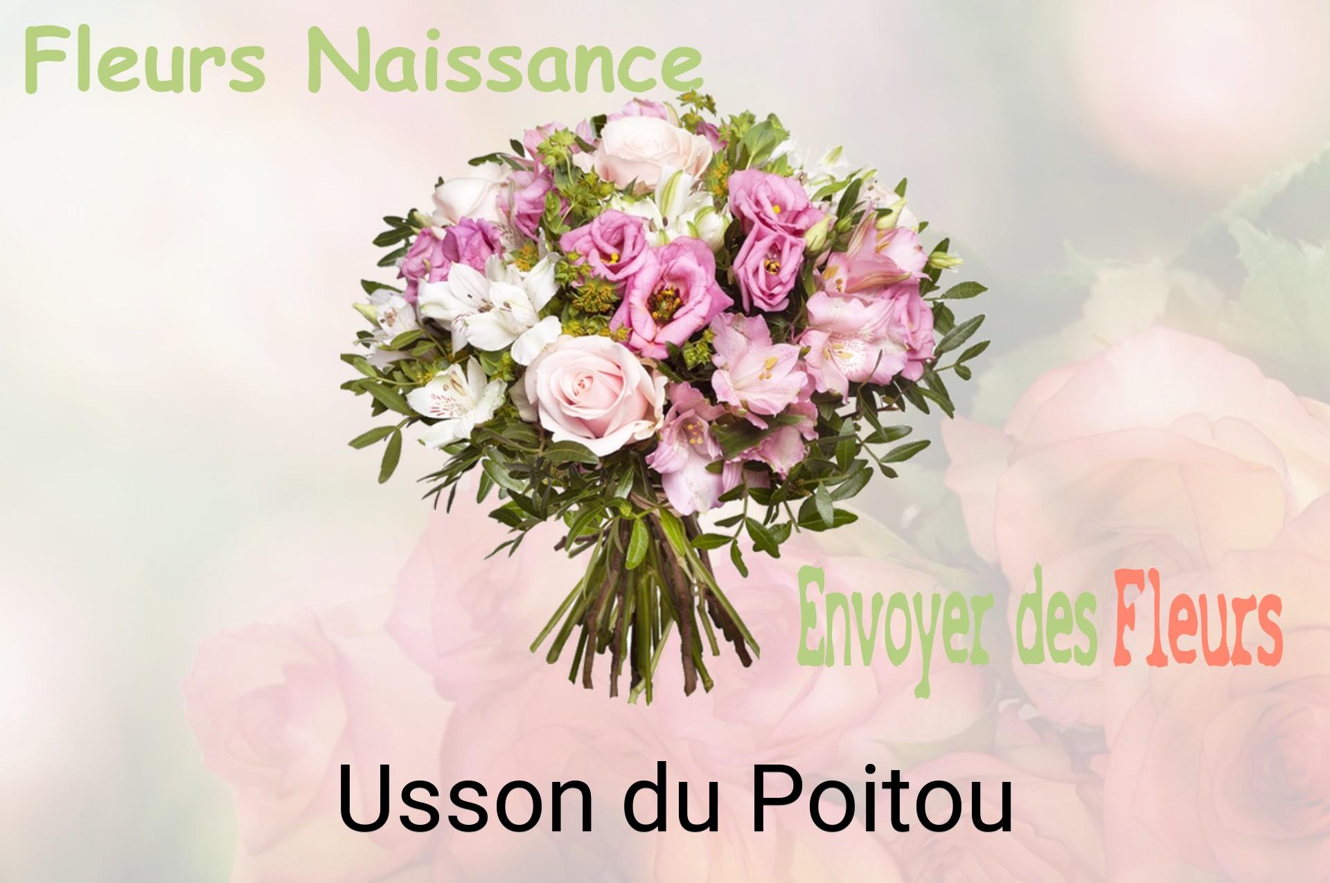 Bouquet de fleurs de naissance livré à Usson-du-Poitou