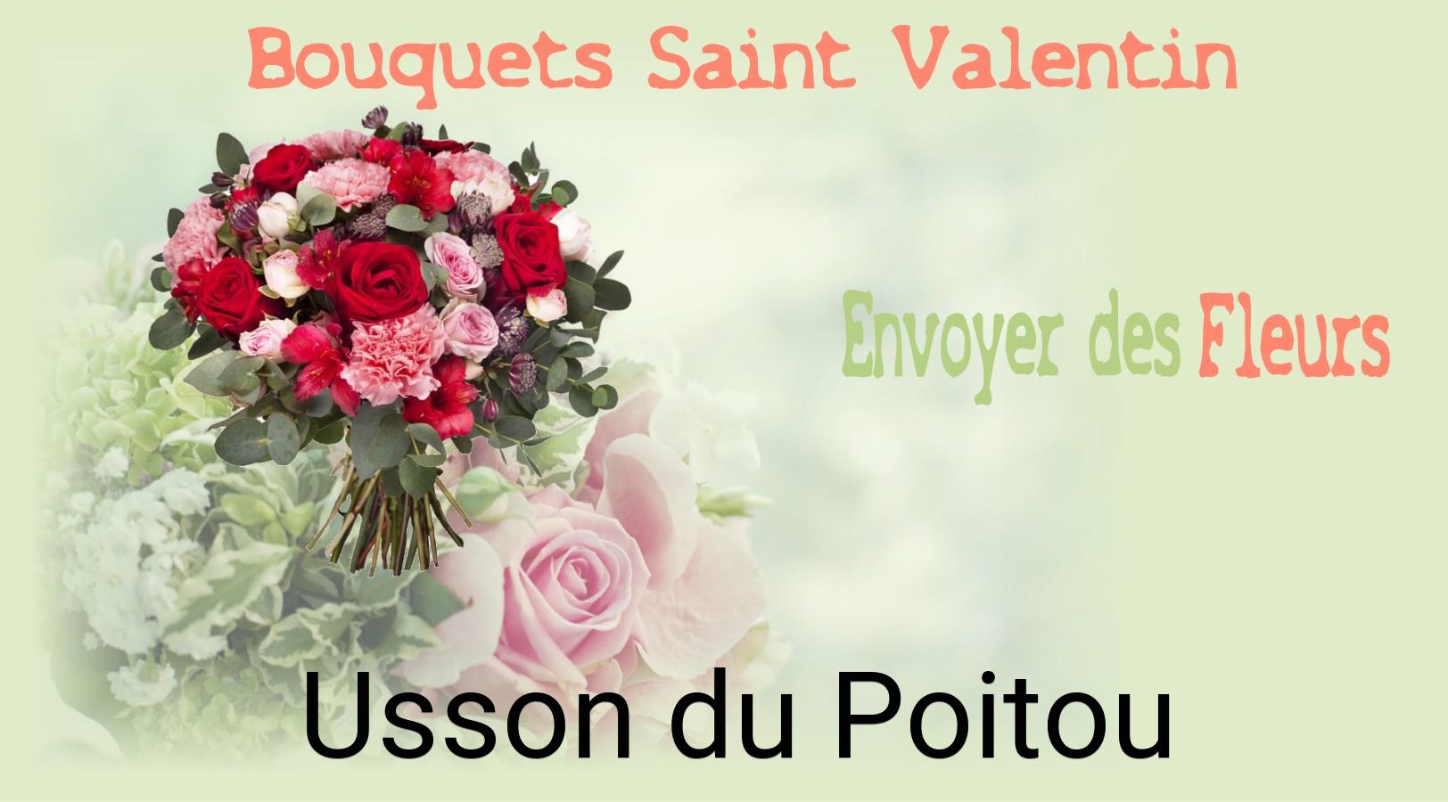 Roses de Saint-Valentin livrées à Usson-du-Poitou