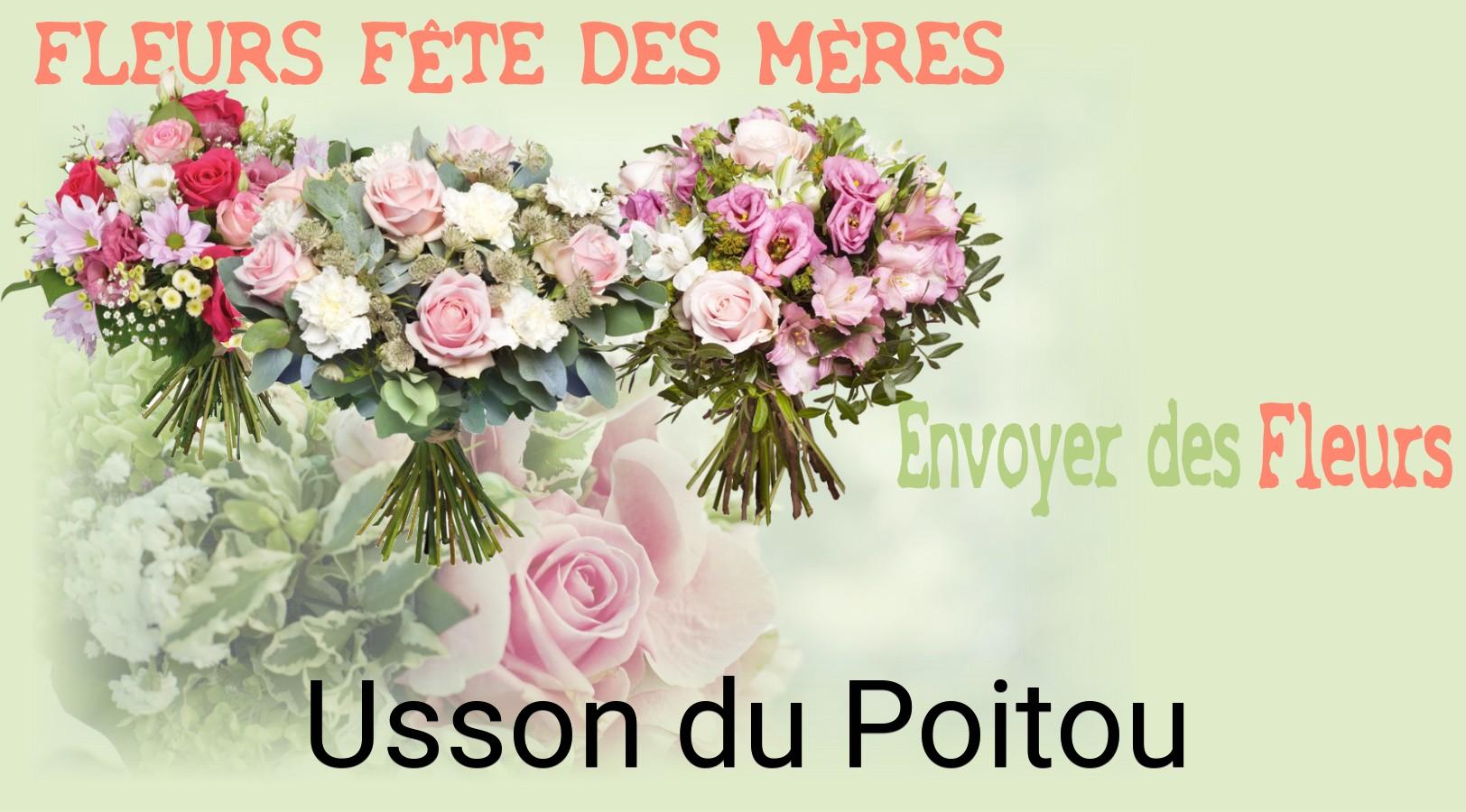 Bouquet de Fête des Mères livré à Usson-du-Poitou
